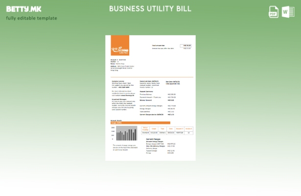 Модерен стил шаблон за деловни сметки за комунални услуги Hong Kong Energy Ltd